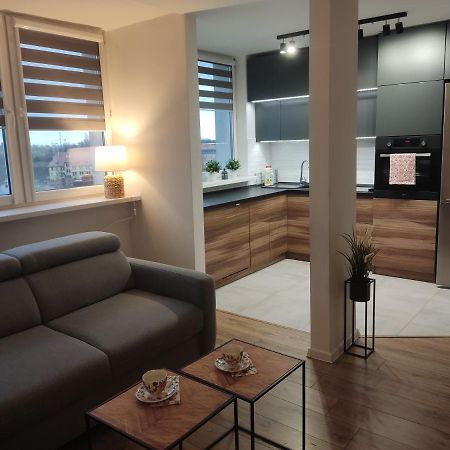 Apartament Z Widokiem Na Miasto Gliwice Bagian luar foto