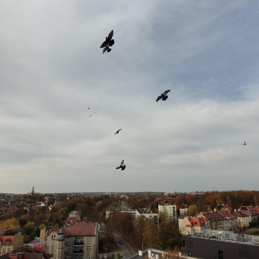 Apartament Z Widokiem Na Miasto Gliwice Bagian luar foto